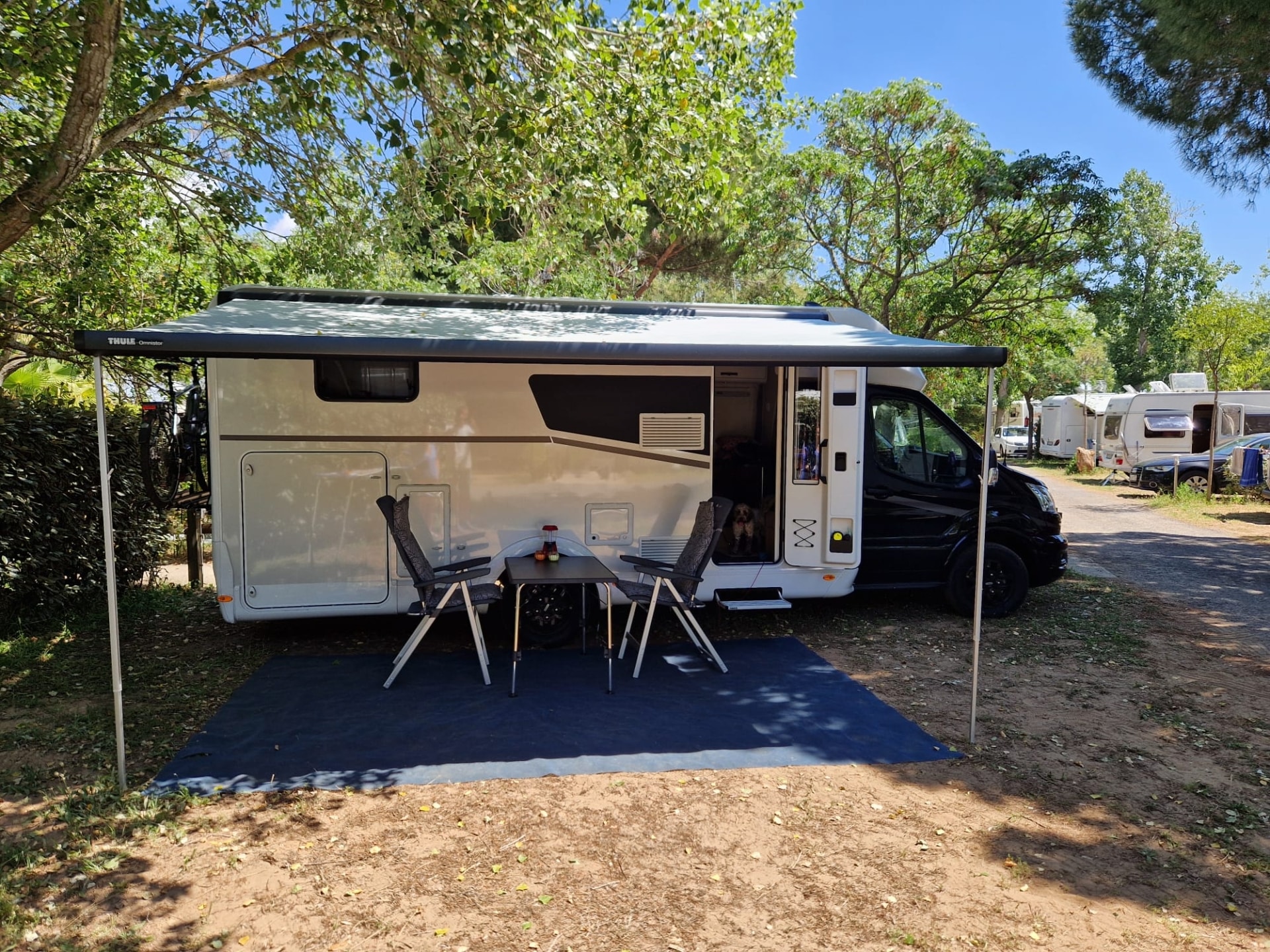 3c9f2a1c-2c0f-4794-b696-b35b7ca127dd